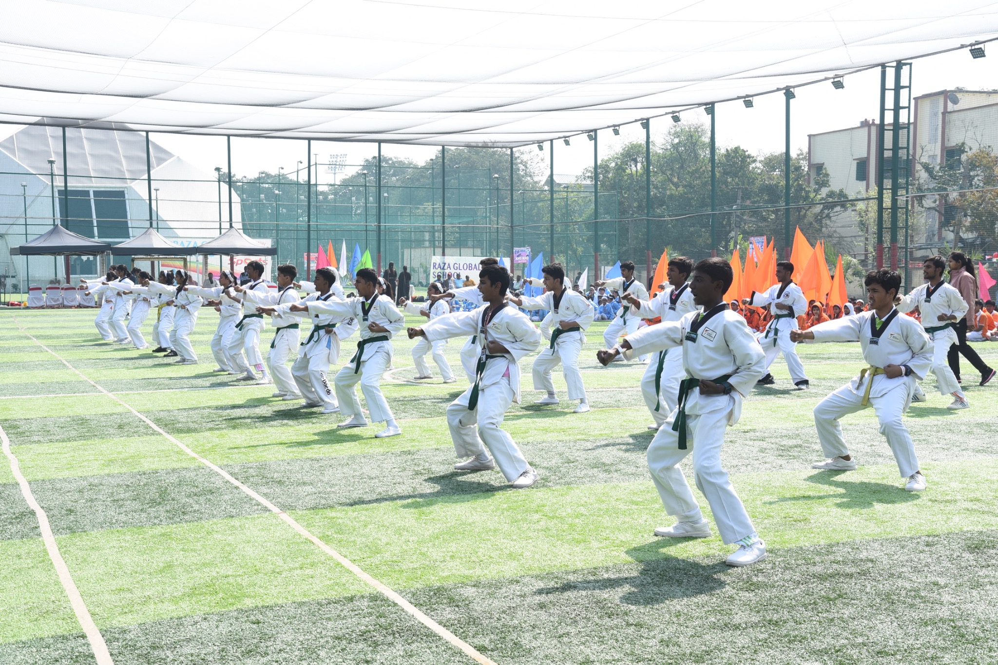 Martial arts display at school